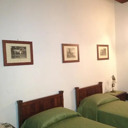 La Bisa