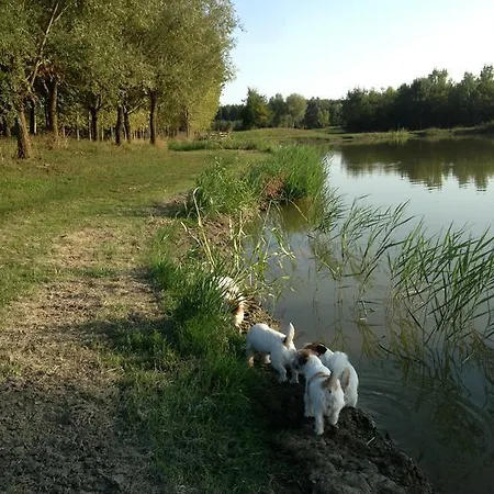 Farm stay La Bisa Trecenta